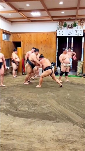 The Truth About Sumo Wrestlers’ Weight Gain