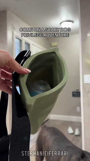 Understanding Scary Dog Privilege: Empathy and Education