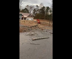 4K views · 251 reactions | My favorite movie of 2021 is this clip of a dead tree absolutely exploding when it hits the ground (there's sound, too) : | Author Jason K Pargin | Facebook