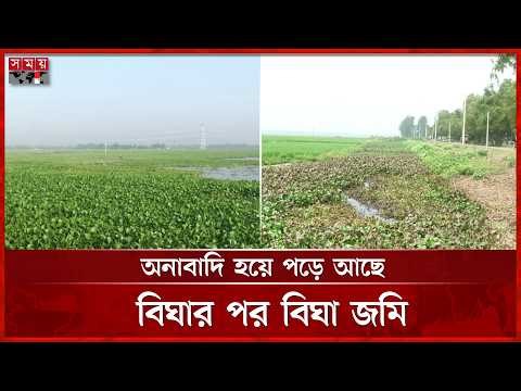 চলনবিলে অপরিকল্পিতভাবে পুকুর খননে বাড়ছে অনাবাদি জমি | Pond Digging | Natore | Somoy TV