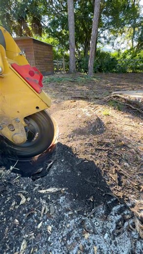 I hope you didn’t need that internet cable. | Justin Ziegler