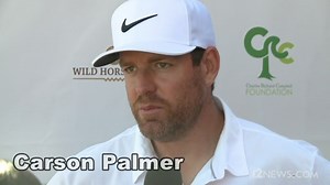 Palmer says pressure on Cardinals at golf tournaments