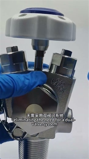Gas-Liquid Dual-Port Cylinder Valves