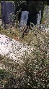 5.7K views · 101 reactions |  CIMITERO PRIMA PORTA, SEMPRE PIÙ UNA...