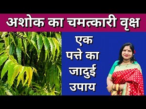 अशोक के चमत्कारी वृक्ष के एक पत्ते का जादुई उपाय - Ashok ke patte ka Upay