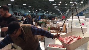 Jamie at Joe Monani Fish Co. is LIVING THE DREAM. Wouldn't you feel the same way if YOU had your hands on those beautiful red snappers?!? | Fulton Fish Market