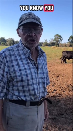 How do we make farming a vital tradition again #farming #farm #farmer #cattle #cow | thecussingfarmers