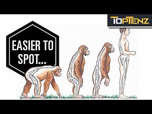 The Unexpected Downsides of Bipedalism
