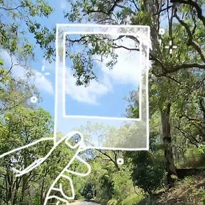 🏃‍♀️ Now we’re walking! With an iconic 91km pathway linking the Sydney Opera House to Parramatta Park. The Parramatta to Sydney Foreshore Link will take you on a journey through 18 suburbs with spectacular sights, making it one of the city's longest active transport connections. 👟 🚴 So pop on those walking shoes or hop on a bike for a toe-tally delightful experience. 🗺️ Check out the interactive map here 👉 shorturl.at/mqzU8 | Transport for NSW