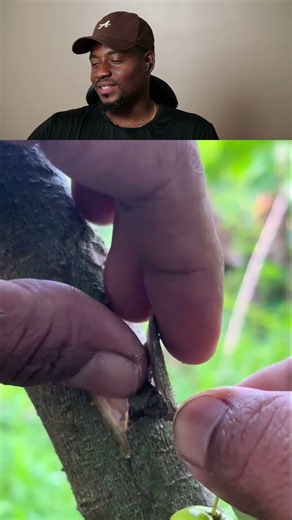 Plant Transfer Hack Every Gardener Should Know