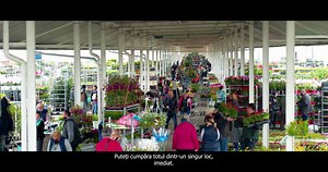13K views · 5K reactions | De 28 de ani, la Piața angro Flora...