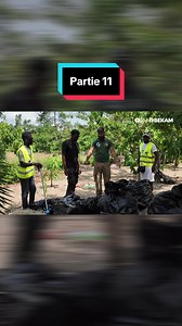 Agro-forêt de Monogaga : visite immersive Partie 11
