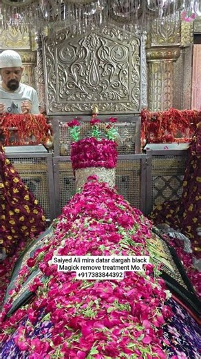 mira datar dargah sharif New qawwali whatsapp 😍status video 📷 dargah sharif contact +917383844392
