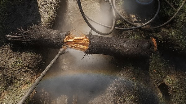 Drain Disaster Solved: Witness the Intense Cleanup of a Challenging Blocked Sewer Line!