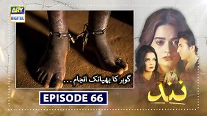 61K views · 19 shares | Nand Episode 65 | Ary Digital | Daily Showbiz | Facebook