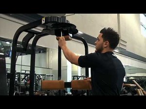 Cybex Rotary Torso Machine