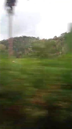 Doa Seorang Nenek yang Tak Pernah Putus, Hingga Akhirnya Allah SWT mengabulkan doa#doa