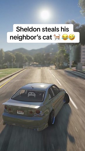 She really thought Sheldon stole her cat 😭 #fyp #GTA5 #PrankCall | sheldon prank call