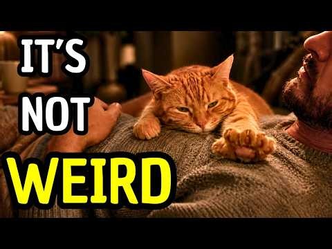 7 Signs Your Cat Understands You Better Than You Think