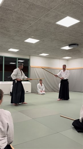 Instruktion kring hasso gaeshi med partner #aikido #iwama #takemusu #bukiwaza #hassogaeshi | Karlstad Aikidoklubb