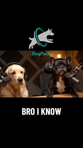 Where the heck is she goin? | DogPack