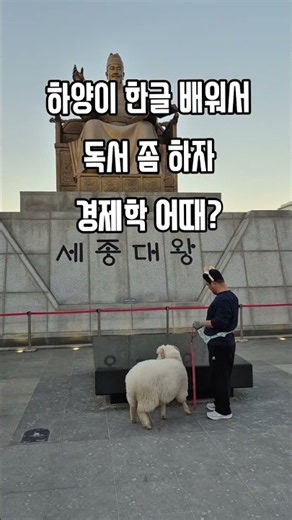 하양이 세종대왕께 한글 배워서영풍문고 가서 독서 좀 하자.경제학 어때?#세종대왕 #한글 #영풍문고 #독서 #경제
