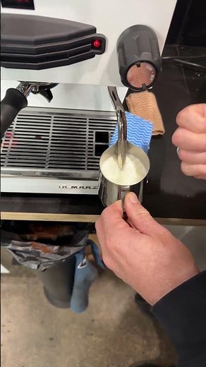 Steaming milk on a La Marzocco Linea Mini