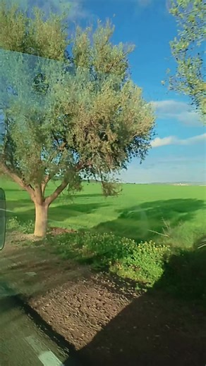 #شعب_الصيني_ماله_حل😂😂