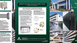 Localization & Translation Services