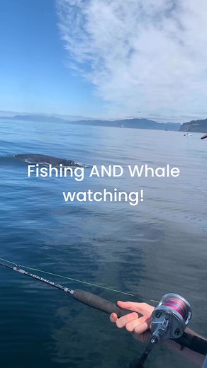 Garibaldi Charters on Reels