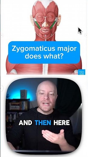 Zygomaticus major does what?