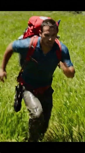 White Horse Attacked by a Giant Python — The Rescue You Must See!