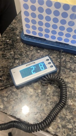 Brown Nothing Bundt Cakes VS Kroger Bundt Cake- which is better?? 👀👀👀 Bundt Cakes #bundtcake #nothingbundtcake #bakery #tastetest #lowestprice | The Milehams