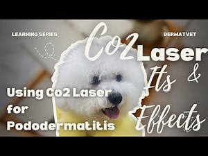 Application of Co2 Laser in treating Pododermatitis