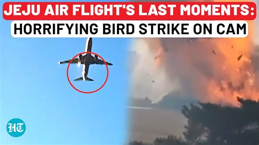 323K views · 1.6K reactions | A catastrophic incident unfolded at Muan International Airport in #SouthKorea as a #JejuAir Boeing 737-800, carrying 181 people, crashed during an attempted landing. | Hindustan Times | Facebook