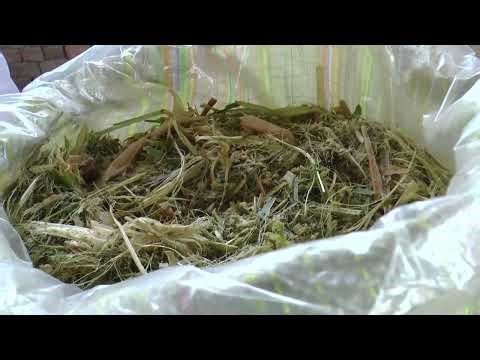 Empowerment Through Innovation: Transforming Small Farms with 50kg Silage Bags