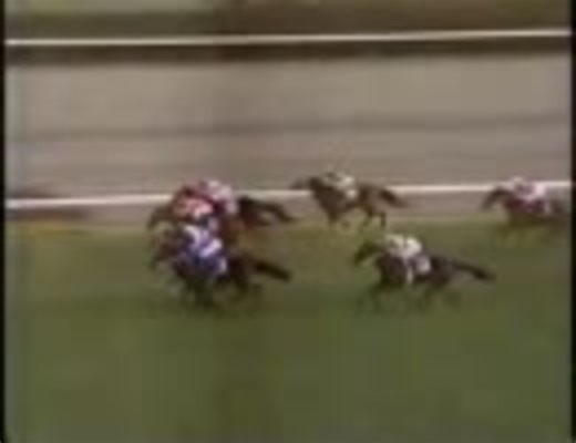 1999年 有馬記念 2/2