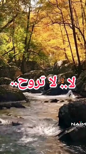 Elissa - La Trouh | لا تروح