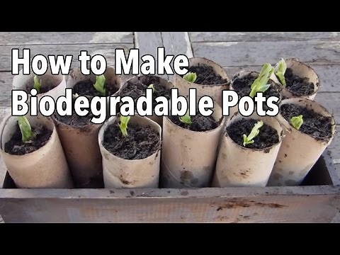 How to Make Biodegradable Plant Pots - Homemade Seed Starting Pots
