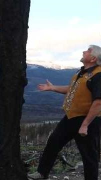 Tree survives superfire