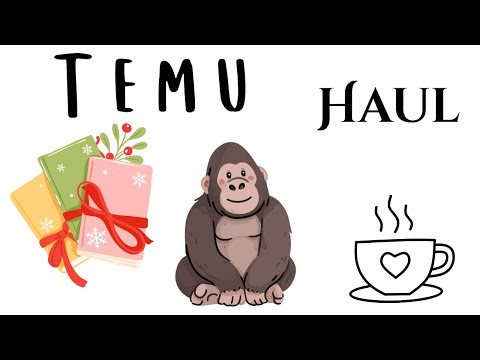 LOOK it is a Temu Haul | January 24, 2026