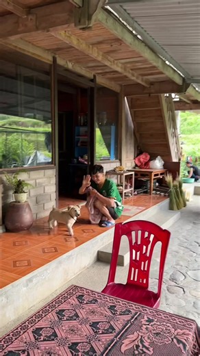 26K views · 1.3K reactions | Our homestay in Sapa. We’ve imagined...