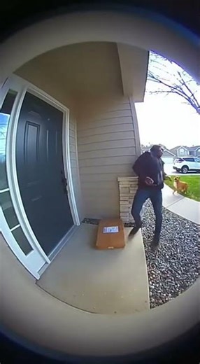 Trapbox Channel – Catching Package Thieves in the Act