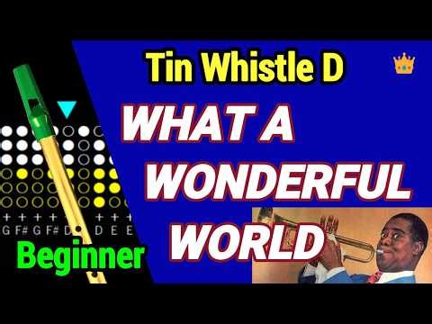【What a Wonderful World】Tin Whistle D Play Along + Tabs 👑Level 1 (Beginner) | Louis Armstrong