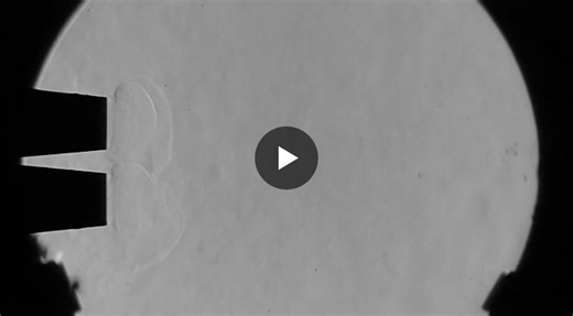 #miltonvandyke #simulation #visualization #cfd | ERCOFTAC