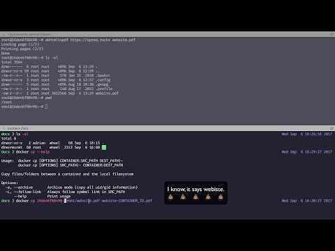 Copy files from a Docker container to the host machine