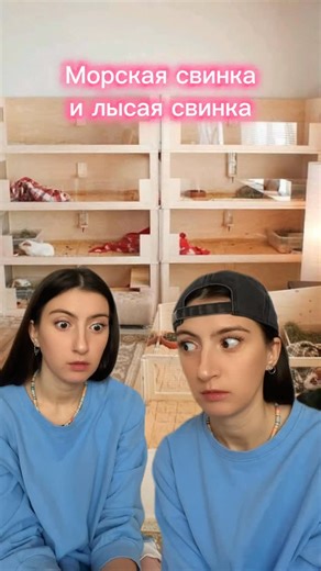 Аня Шестакова • Стендап комикесса • Блогерка on Instagram: "больше видео в профиле @shestakova_tut"