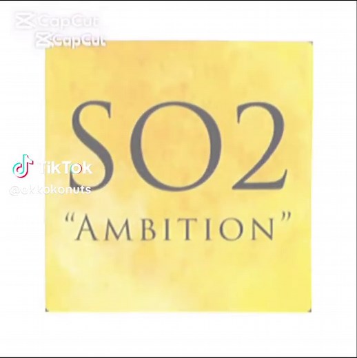 SO2 Enneagram Typology: How to Identify a Social 2 (SO2)