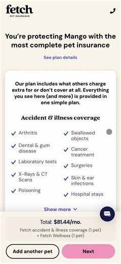 Fetch Current Mobile