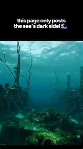 Sea of Spectres – Dark Ocean Mysteries on Instagram: "🌊The ocean is beautiful, but it is not kind. A terrifying look at rogue waves, massive container ships getting swallowed, and the sheer bravery of deep-sea divers and sailors in the "Killer Sea." ⚓ 💬 Could you survive a storm in the world’s deadliest waters? Comment below! 📍 Follow @seaofspectres for more dark ocean mysteries and terrifying real-life ocean encounters. . . . #antarctica #southernocean #monsterwave #royalnavy #oceanchaos #fu